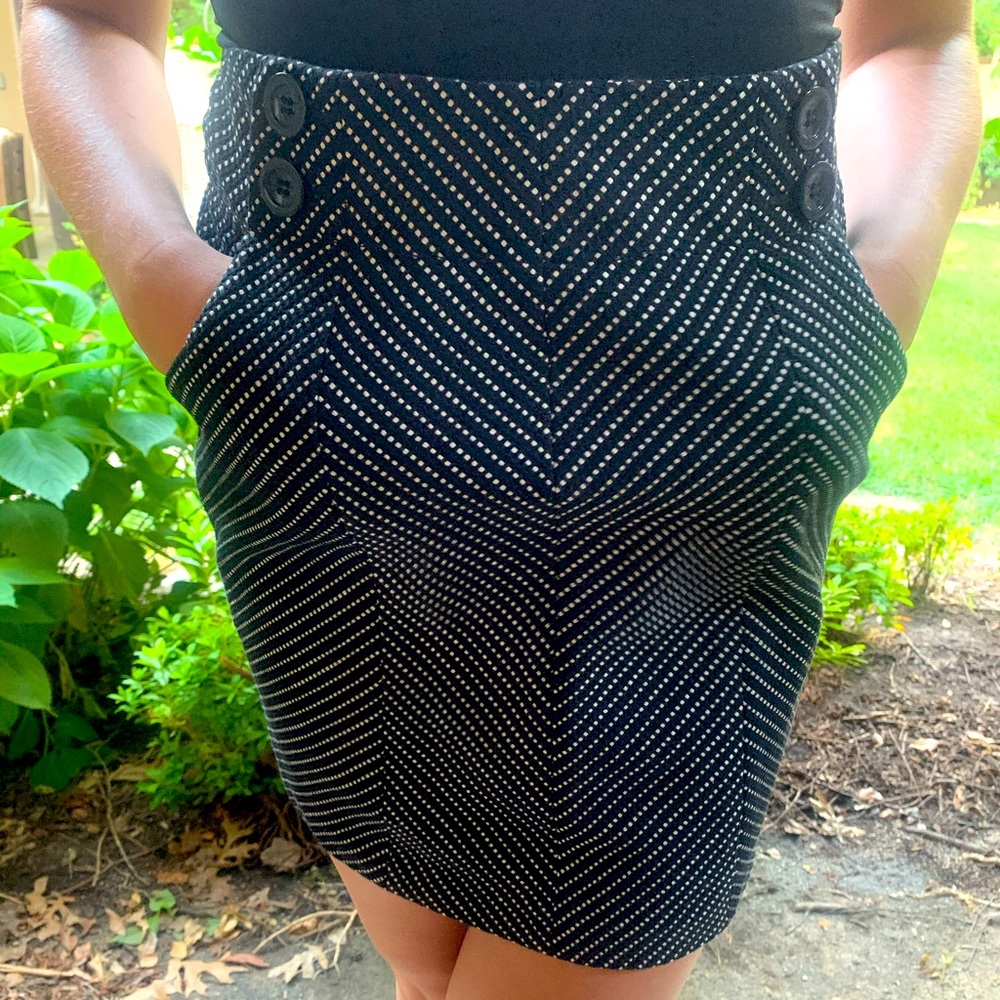 Ann Taylor Skirt